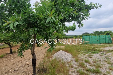 Masia a Les Useras, Castellon, Les Useras - € 140.000 | Ref: 874 - foto 16